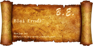 Blei Ernő névjegykártya